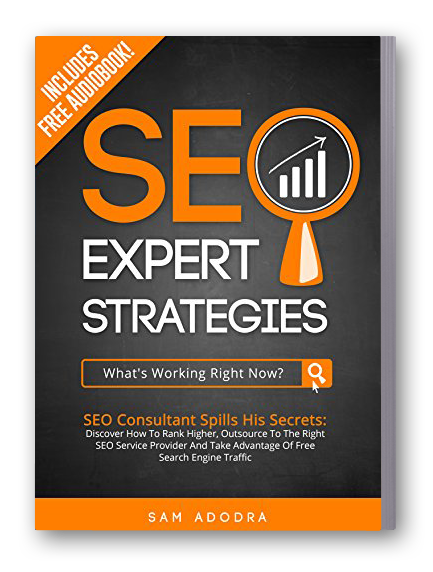The Best Seo Book in the World - Image 3